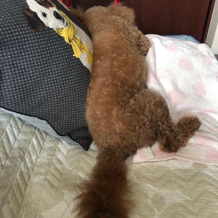 867a7a40 b3a2 47cd b196 9cec215996c0 1534833108374