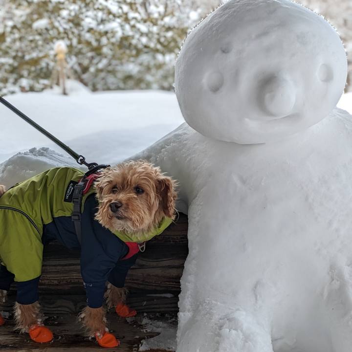 867a8317 396a 499a b3f5 3a6979cf1e4b 1710038026734