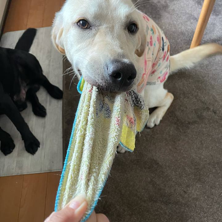 867a8904 b3a2 43ad 9720 e05bd698dc0b 1625292252388