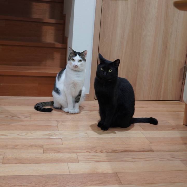 867a9388 5a95 4f46 af0a 9fff88592ead 1590590355958