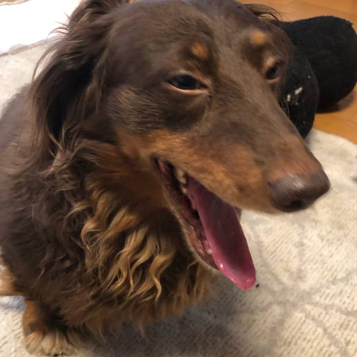 867a9894 cfac 4f85 9d4d 40ca3614e79a 1683353676937