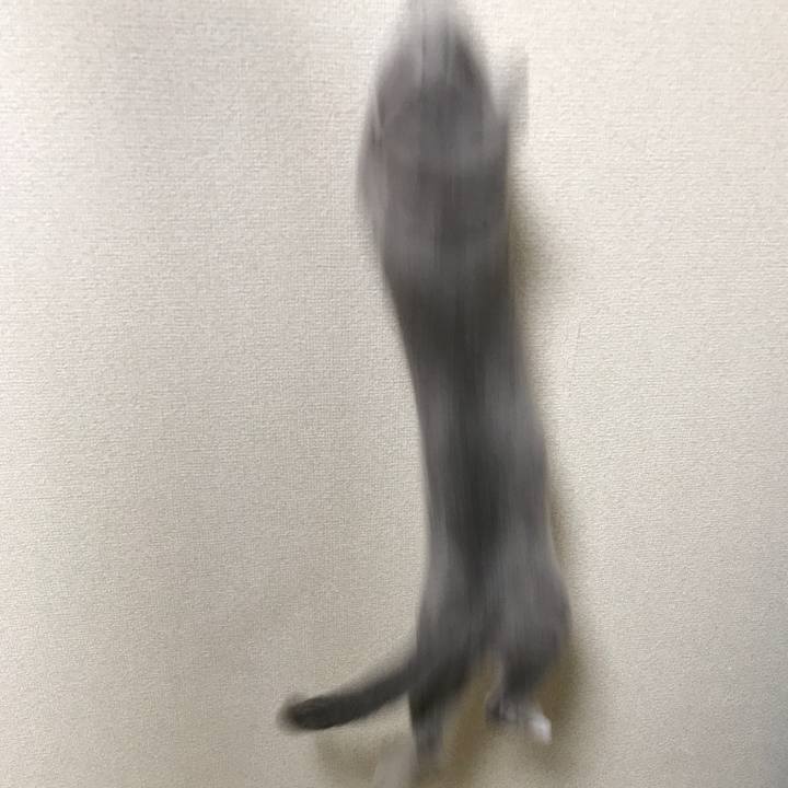 867aa299 91cc 466f a435 72120613f92f 1519657236735