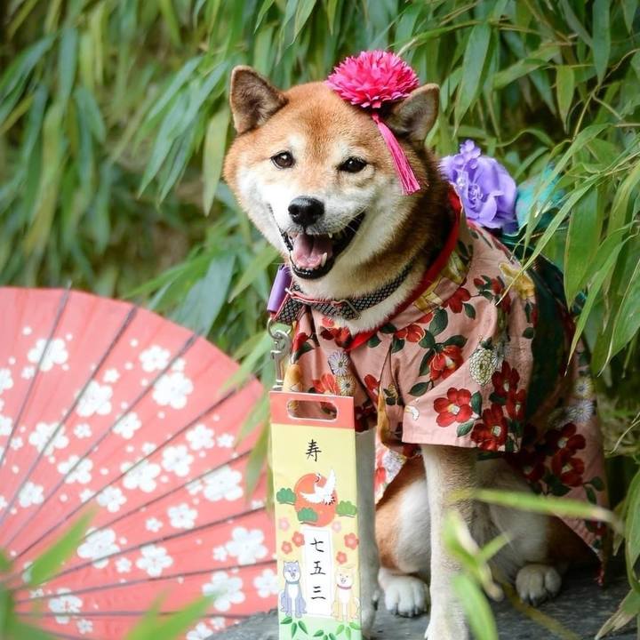 867b0a4d 146d 41f4 8603 60e591fd9556 1697165049294