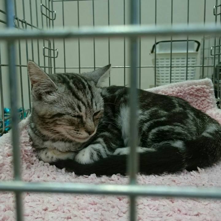 867b33a0 ff49 4ced 9482 b591e2441d10 1510487202739