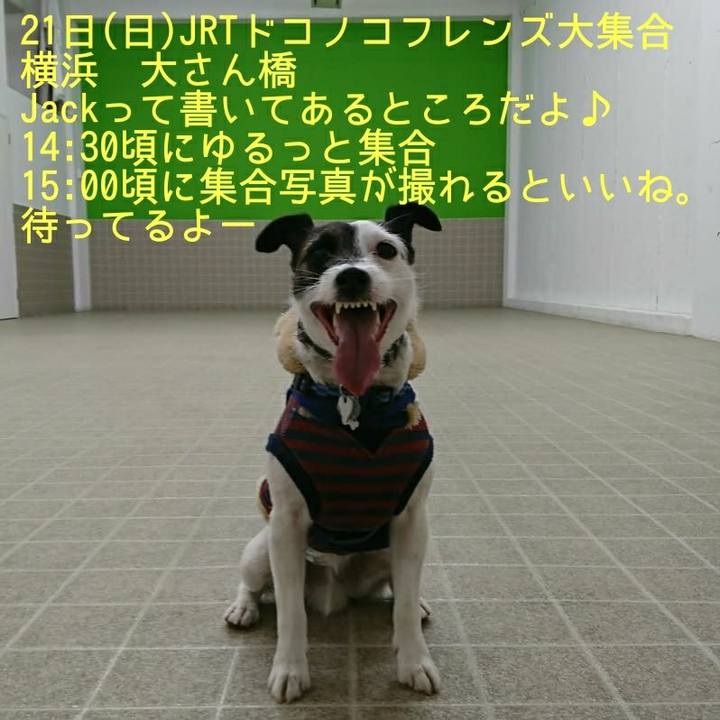 867b364b b386 4197 9e31 c50dc39d7cb6 1516271574764