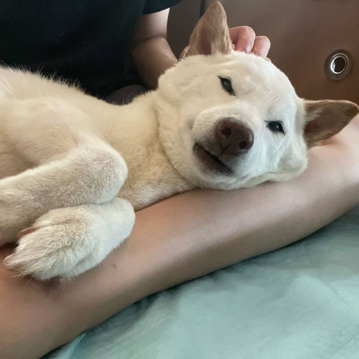 867b3eb8 5cd2 4303 a6f5 ff0a9a70f05d 1656738987226