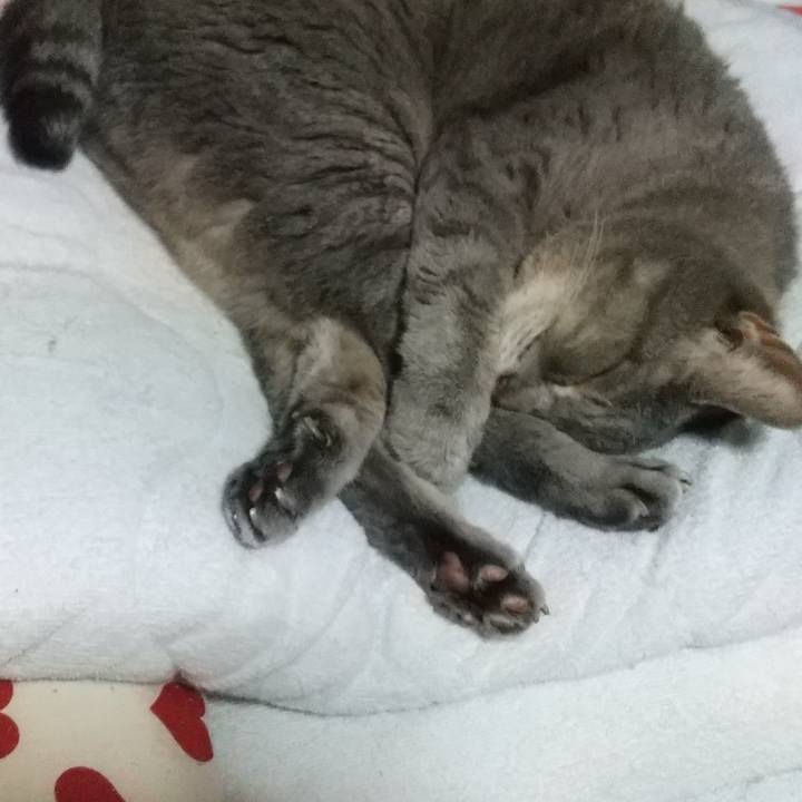 867b54fd c905 4792 8299 5773cc6d5c37 1662210749142