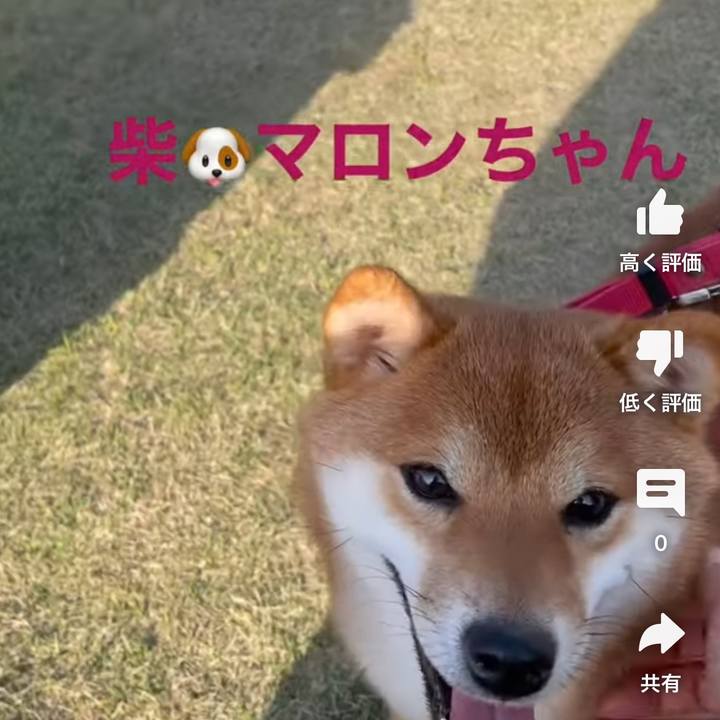 867b69f7 6999 4324 a581 1f7075c508c2 1680707077196