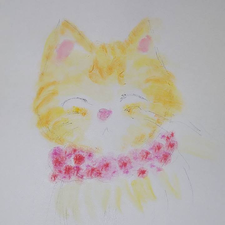 867b7eed 787c 408a 9b28 0191e1d74647 1619528642679