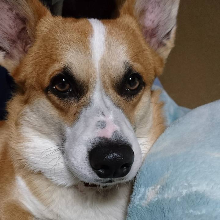 867b8984 d9e6 4435 965f 8c917e558599 1579238326322