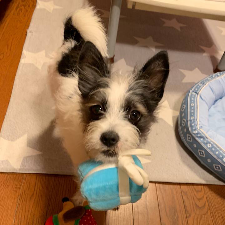 867bf49a 4f15 41e4 9ab4 684cd0ef6823 1560339421180