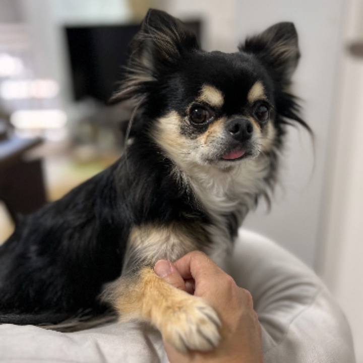 867bfe24 eafd 42b0 8c3f cd2131953a4c 1666958861319