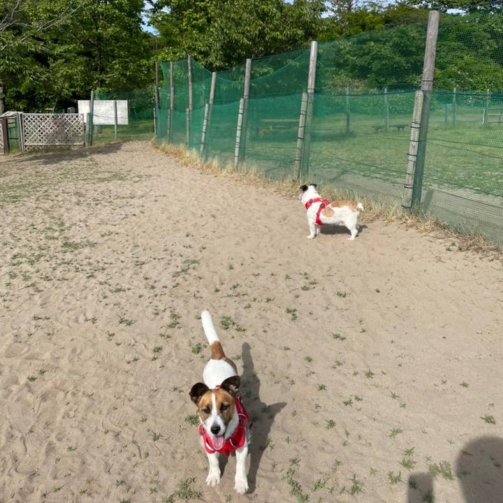 867c2e93 485f 4a81 96f5 573d871c8ad6 1654437285512