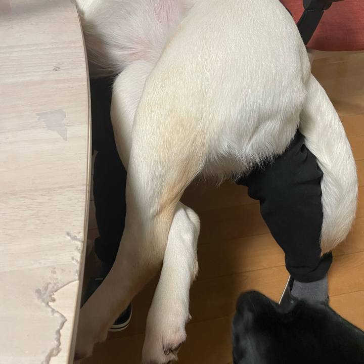 867c336a 5e8c 4308 898b 12ac05f12745 1677842737308