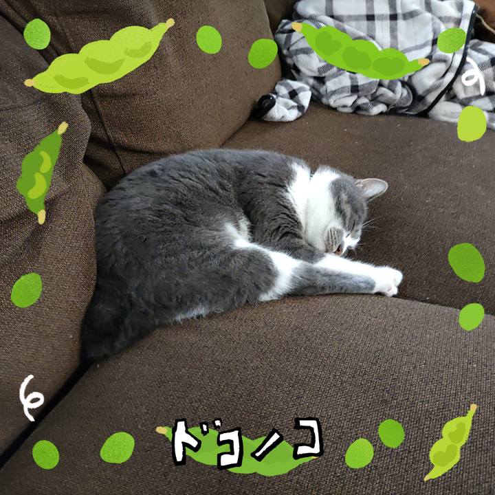 867c44d9 8f10 417a 9686 3ad58765a82f 1720759621516