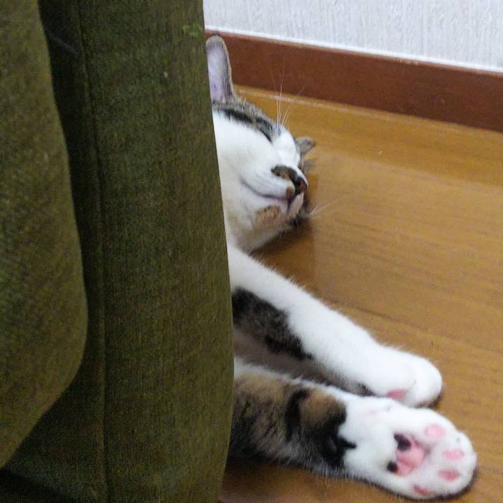 867c55c9 4180 43c0 bd0a 1643dd148df7 1625224954287