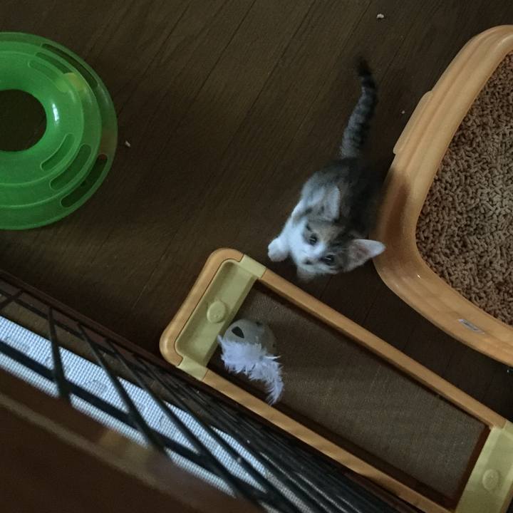 867c61e2 13b9 400b 847b 43b2b2da586a 1630789081988