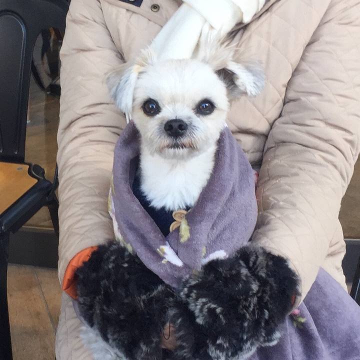 867cb5ac f387 481d 9590 e067f1fb5565 1545654391411