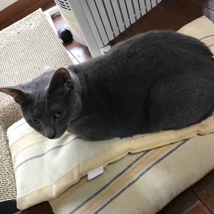 867ceac0 c093 4c3d 98a3 94a770111cd6 1522562179283