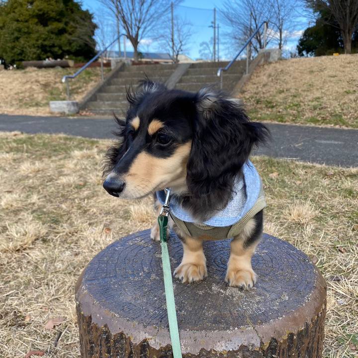 867db57e de9e 4d7e 8a41 1874723d1f3d 1672637497307