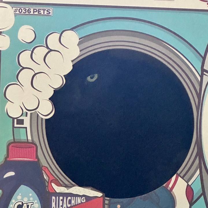 867ddca3 f7b4 4089 9e36 7940f1e77c4d 1717426607904