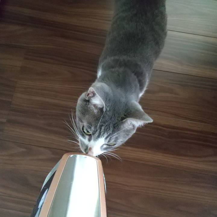 867e279b 0428 4e62 b465 2ad5ace868a0 1596322210659