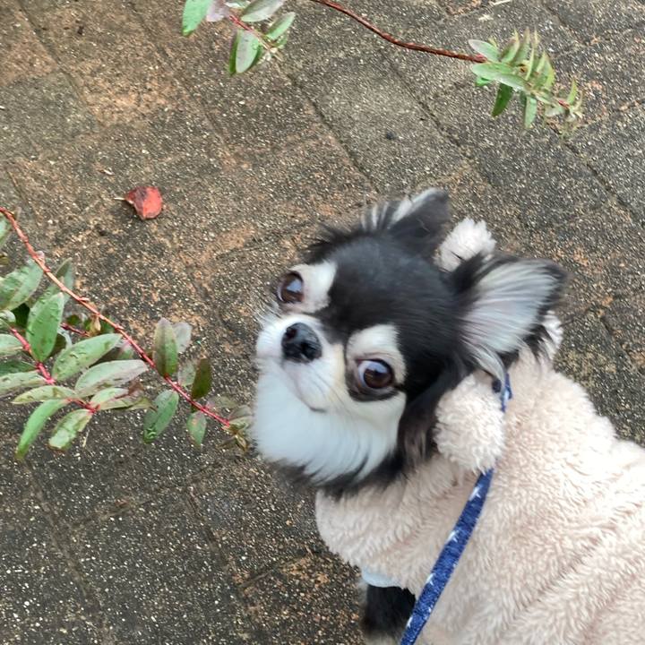 867e4ad7 d571 4390 8c27 5ccb060898be 1645330217897