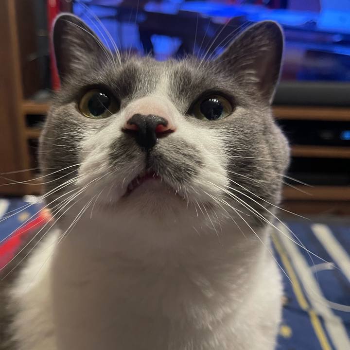 867e69c8 87a9 4426 9aa2 29785a87162a 1685714661626