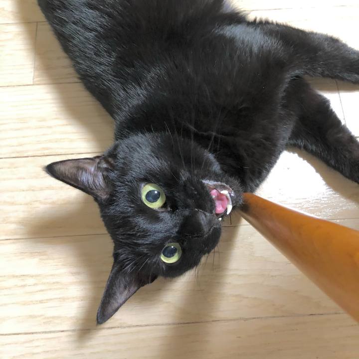 867e9293 f622 4334 9f0a e6850226032c 1615296840297