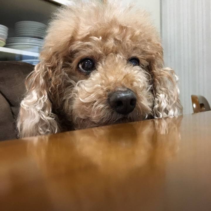 867e9582 d9b9 40e7 bc91 5585427f310a 1597426424245