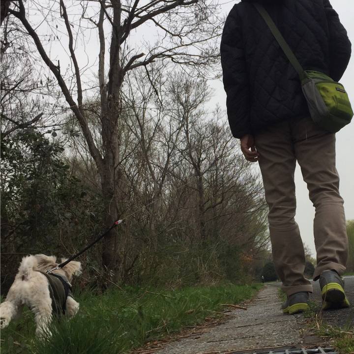 867eaefc 2c8f 43e6 a24d d9f793cfe8ff 1521187732178