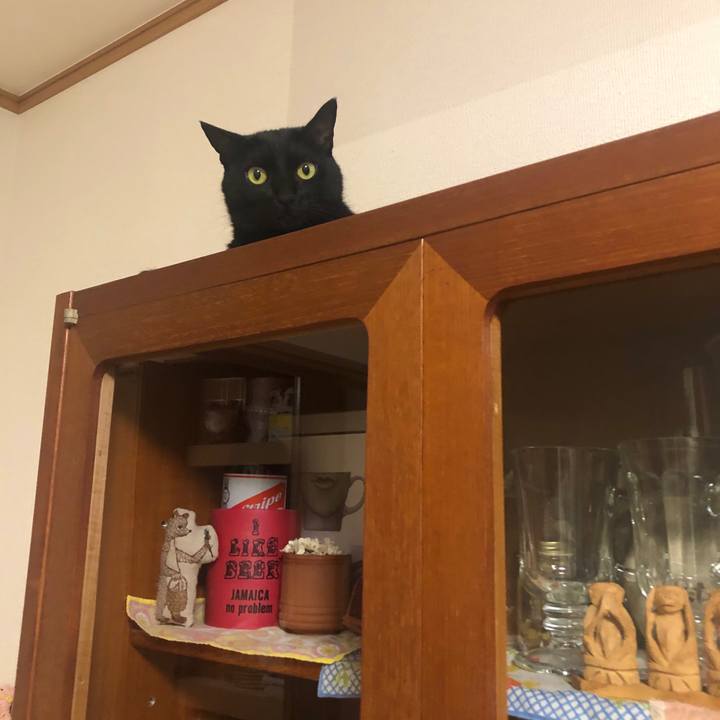 867edd28 3745 495c aa65 da12847bc507 1589803308712