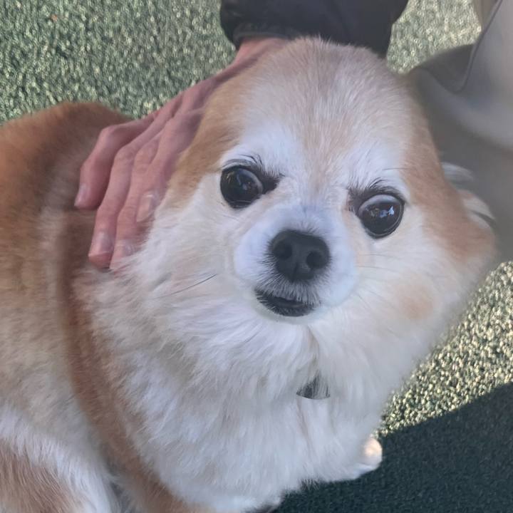 867ee419 0184 4cb8 8a17 0b64d35cfaea 1773235015199