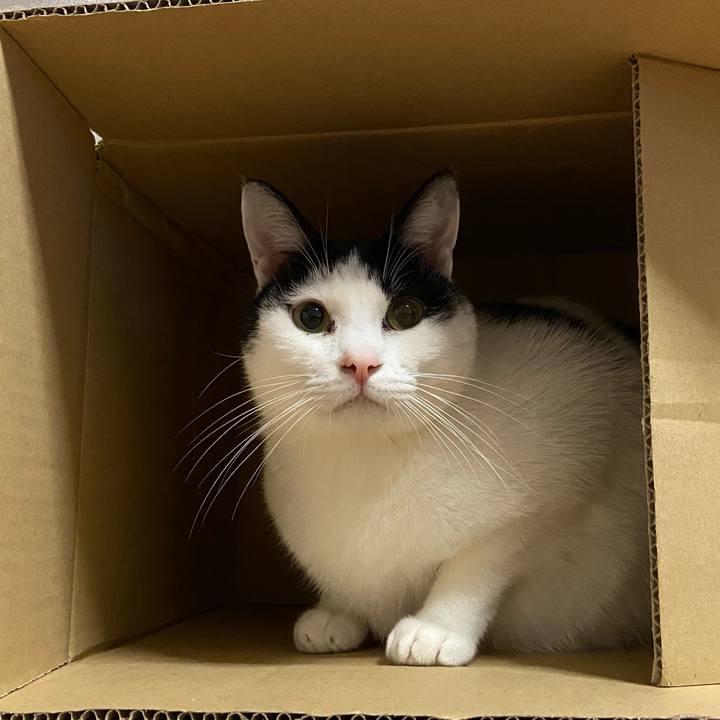 867efd18 b708 4869 97fc 2dd4b34fba94 1578999136345