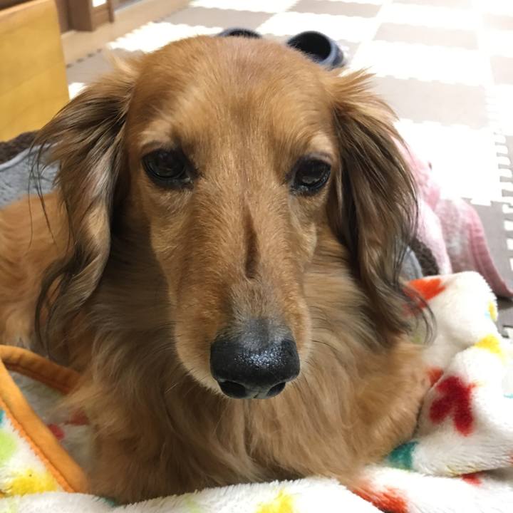 867f1649 eca6 45d4 93aa 937ef6df1271 1523025627322