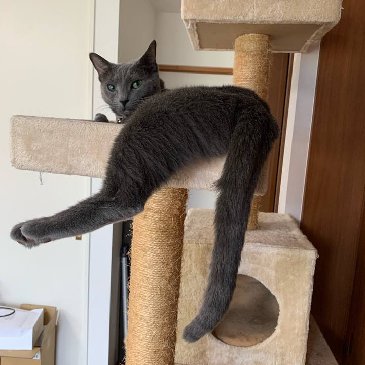 867f7522 55a4 42d8 9745 ea2cb9bb7935 1627278087599