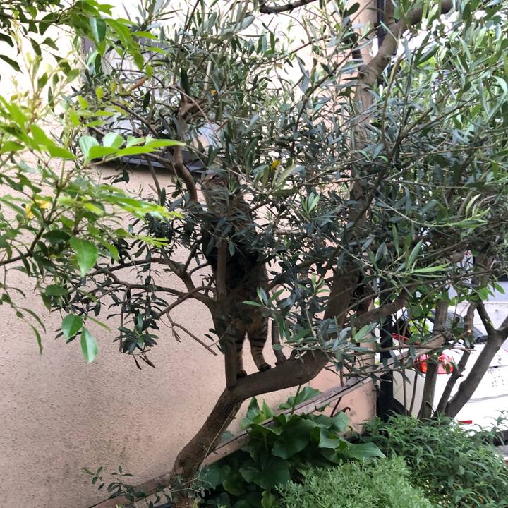 867f8955 19c6 460b b196 088931c6cc11 1526641860074