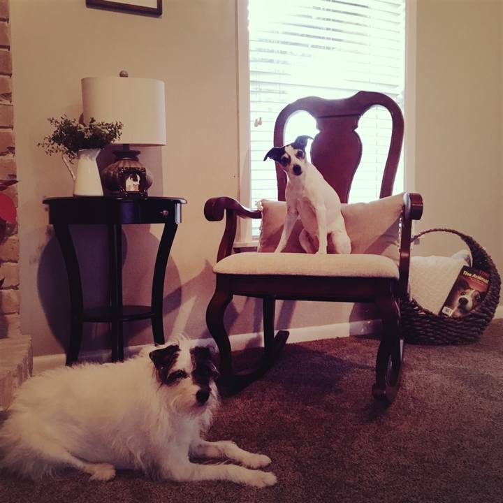 867f9d1c 48ab 4da1 a0ff e09d623265bc 1516141018008