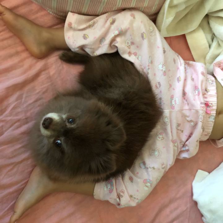 867fba41 534a 4c14 bd18 0bf6a5ae1674 1560285416140