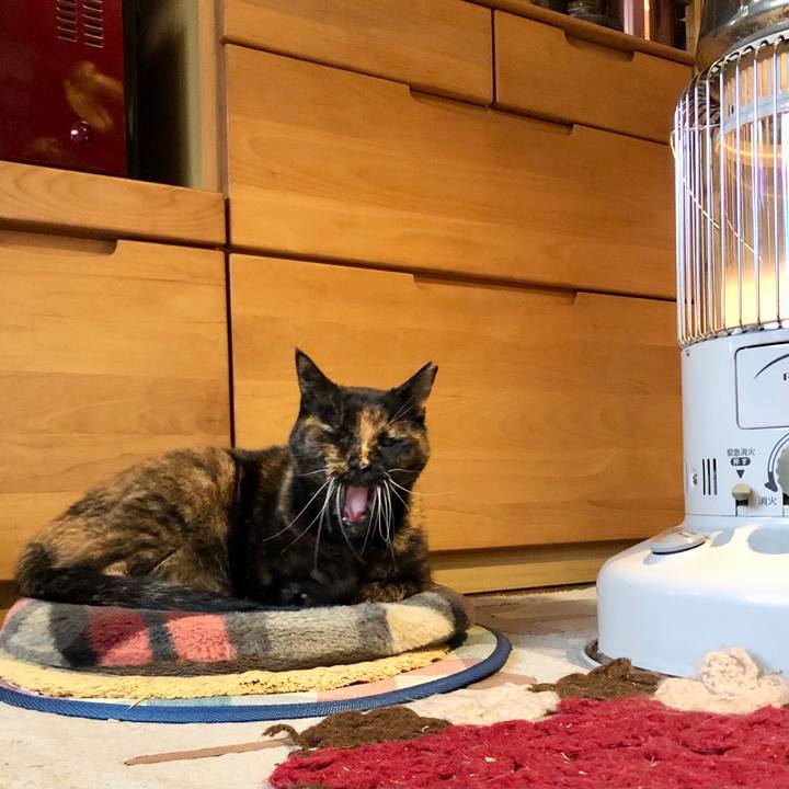 867fc9af 3b52 4753 8ba0 d8354090fdae 1706745916253