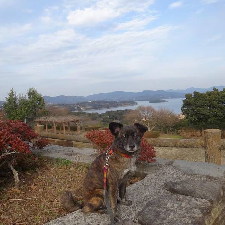 867ff48f edd3 4234 8ce7 798082f7a945 1521551982875