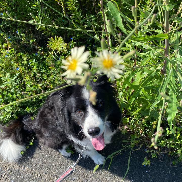 8680141c 483b 41cc bdae bb7a1ffafaa3 1632013434634