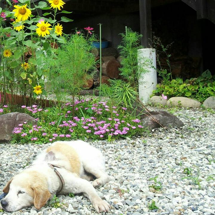 86805c72 a235 41b8 ab11 a58f54f497f5 1512549427795