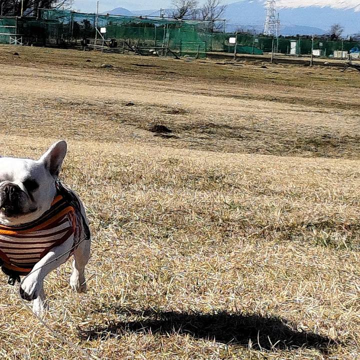 868067ea 657d 4b3d a2cf cdc495c9b62a 1673066761937