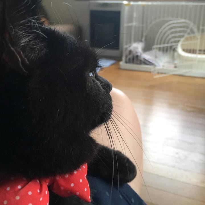 8680922f c860 4bd5 bdbb d5fb42b68e8c 1537750974880