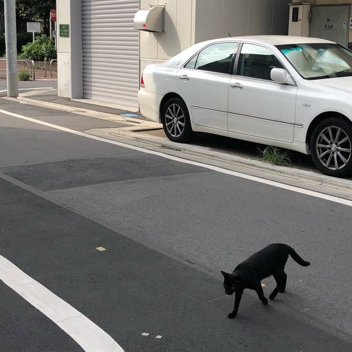 86809c18 903d 44d6 b7e6 bbff5d56047e 1566720437284