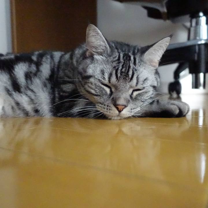 8680e34a 8eff 4af3 894a fef3332d90bb 1564134031842