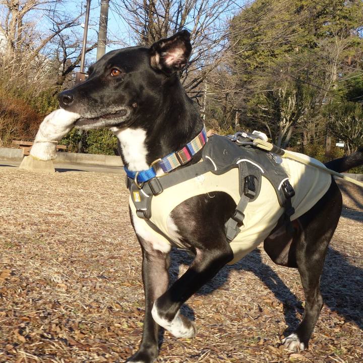 8680ed7a d64d 447c 8e2a 6091d74c5e55 1642553460580