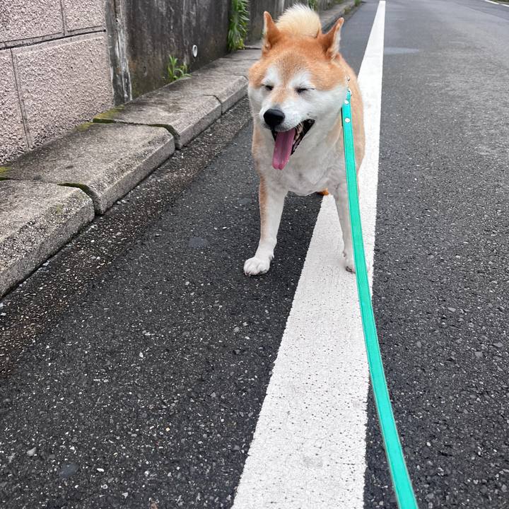 868144a1 88c9 44b3 acf4 c922198dc2d3 1719826905105