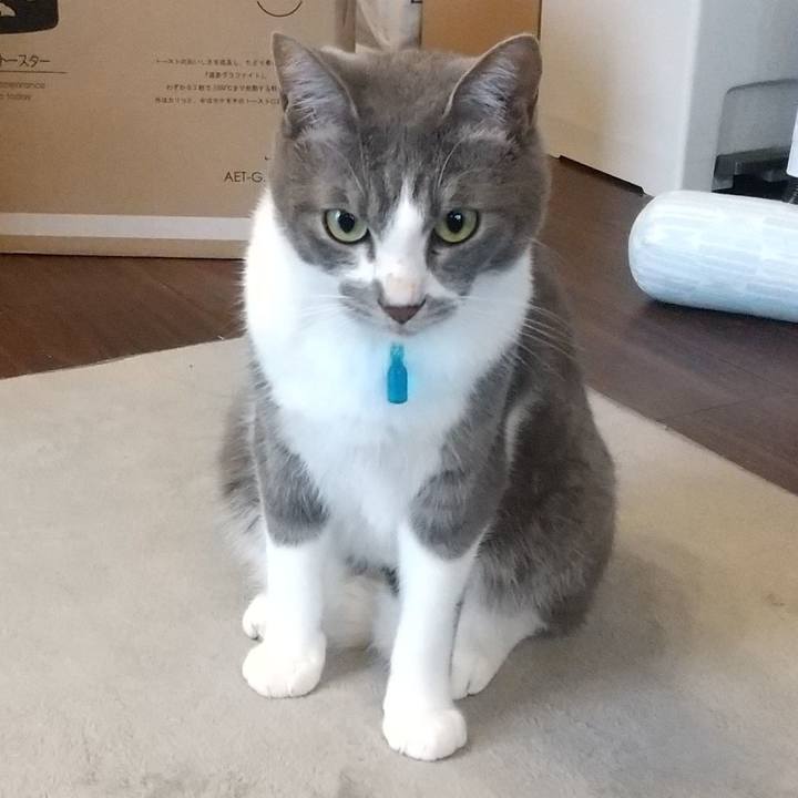 868168fc 6137 4026 9709 91559d61af5e 1621478952815